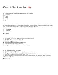 Biology & Life Sciences Chapter 6 Root Arising From Some Plant Part Other