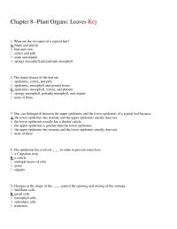 Biology & Life Sciences Chapter 8 What Are The Two Parts Typical Leaf