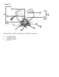 Biology & Life Sciences Chapter 9 Is the ovary in this flower inferior or superior