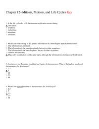 Biology & Life Sciences Chapter 12 The Life Cycle Cell Chromosome Replication Occurs