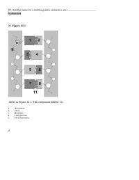 Biology & Life Sciences Chapter 14 then which number refers to adenine