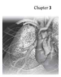 Dictionaries Chapter 3 Endocrine gland problem in young children