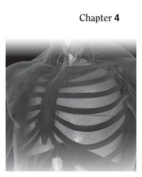 Dictionaries Chapter 4 Surface cells that line internal organs and are found