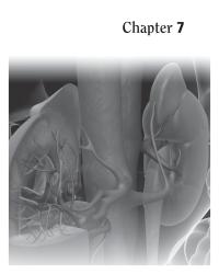 Dictionaries Chapter 7 Pertaining to small balls of capillaries in the kidney
