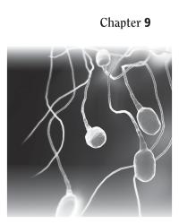 Dictionaries Chapter 9 Benign prostatic hyperplasia is characterized&nbsp;
