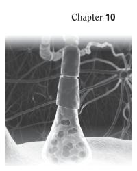 Dictionaries Chapter 10 Part of the brain responsible for coordinating&nbsp;