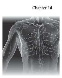 Dictionaries Chapter 14 Antibodies produced by white blood cells