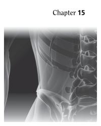 Dictionaries Chapter 15 The projection of the temporal bone is the