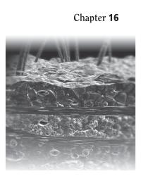 Dictionaries Chapter 16 Layers of growth are removed and examined microscopically