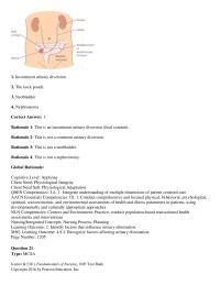 Nursing Chapter 48 Essentials Competencies Ix Implement