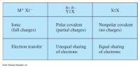 Chemical Engineering Chapter 7 Homework Electrons Two Different Subshells Can Simultaneously Valence