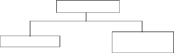 preview background for page pf2